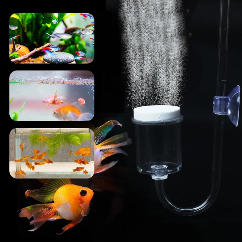 4 adet Set DIY CO2 difüzör içi - Co2 Diffuser Planted incelemesi ve fiyatı