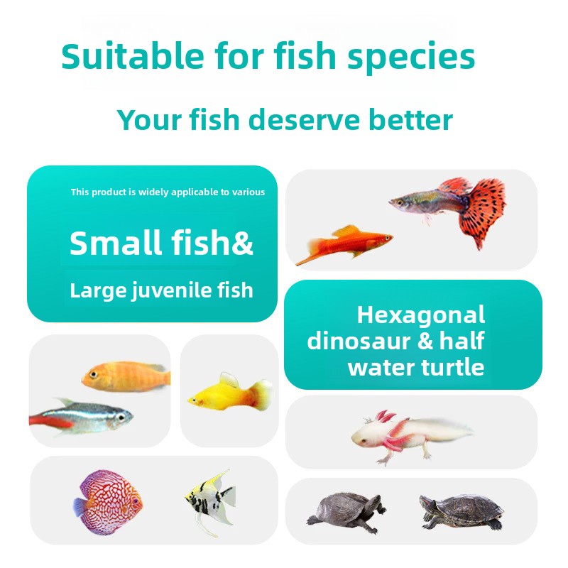 DONGYUJIANG Dondurularak Kurut - Aquarium Fish Vitamin incelemesi ve fiyatı