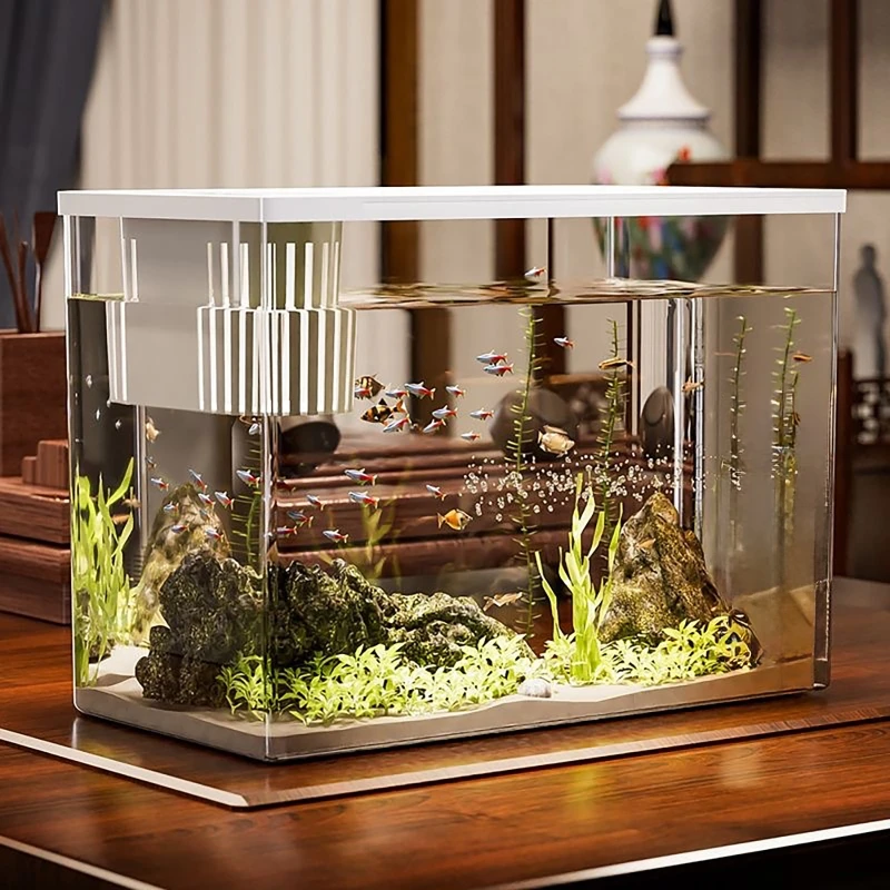 PET + ABS Balık Tankı Yeni Şef - Aquarium Fish In Bowl incelemesi ve fiyatı