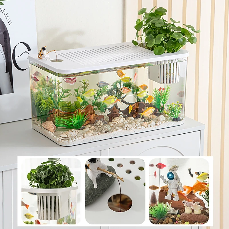 PET + ABS Balık Tankı Yeni Şef - Aquarium Fish In Bowl incelemesi ve fiyatı